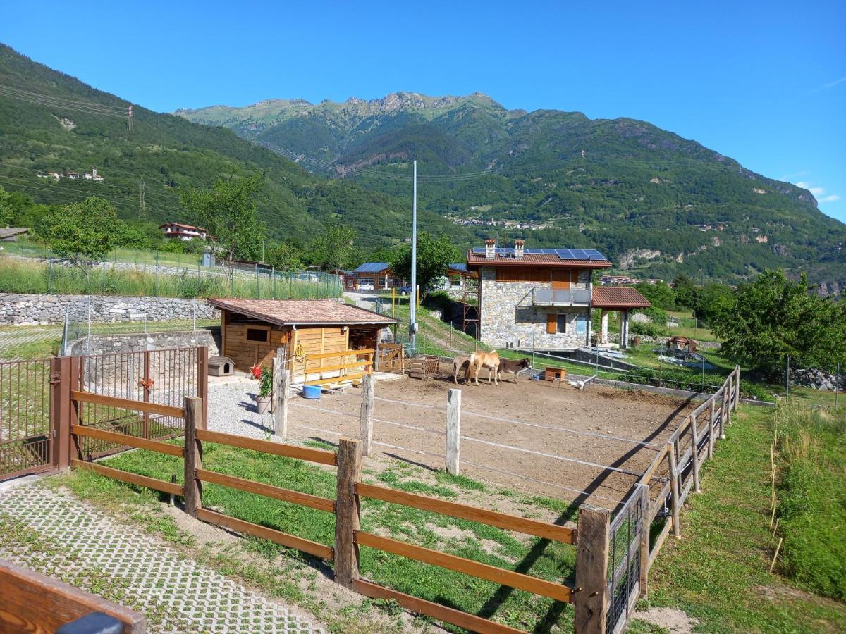 Azienda Agricola Agriturismo I Sei Petali Capo di Ponte Extérieur photo